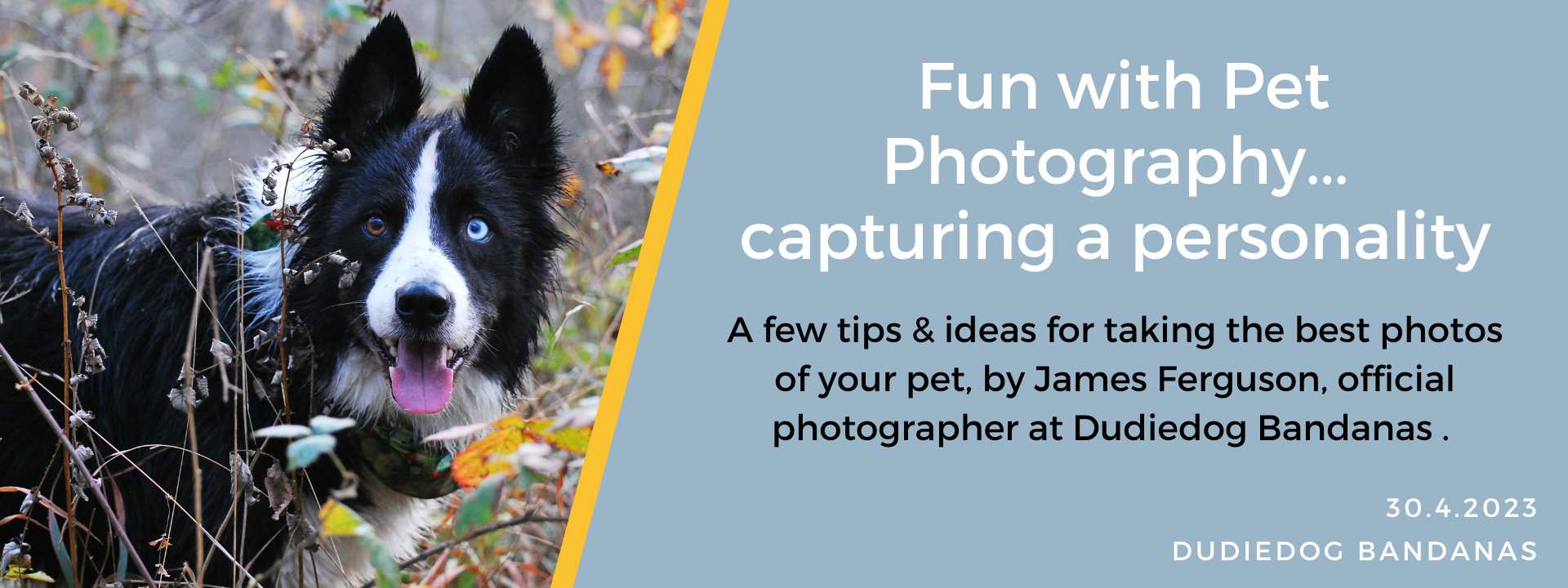 Fun with photography...capturing your pet's personality
