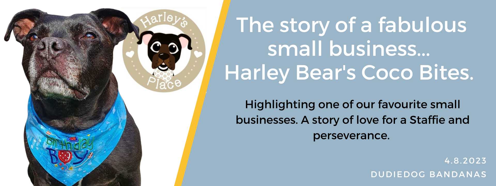 The Story of Harley Bear's Coco Bites