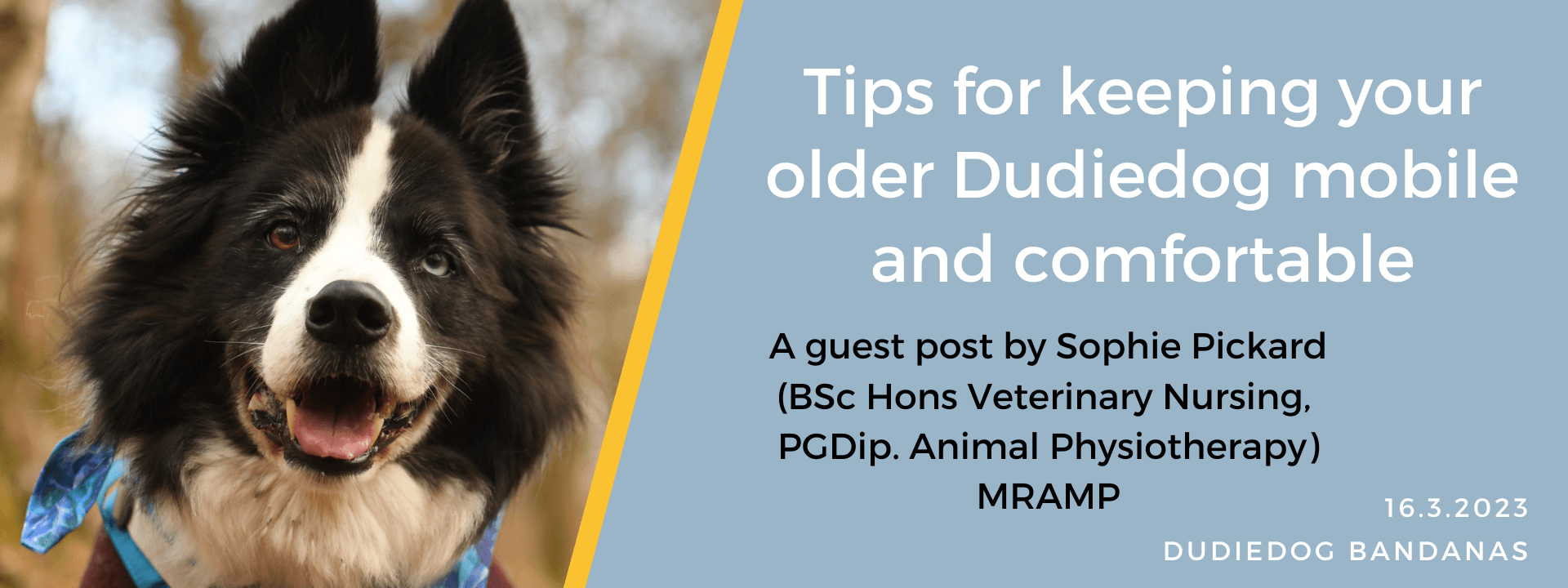 Tips for keeping your older Dudiedog Mobile and Comfortable