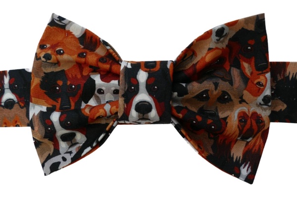 Best Of Breed Bow Tie