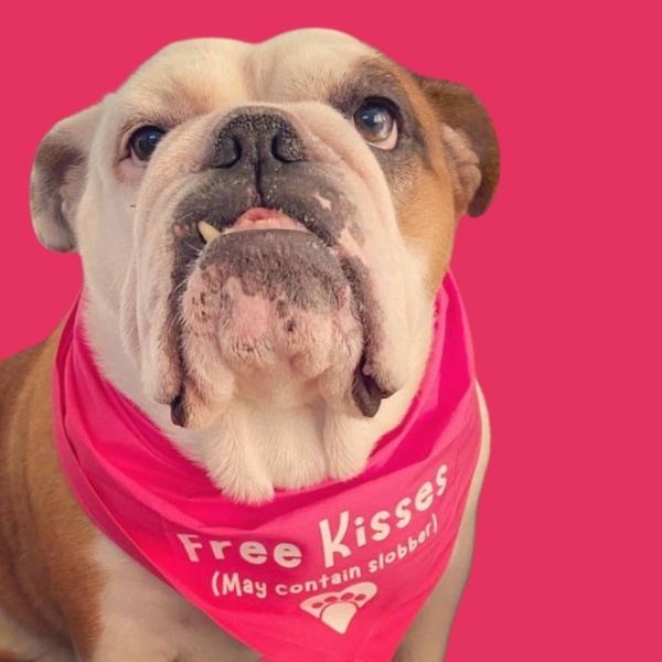 Free Kisses Printed Dog Bandana