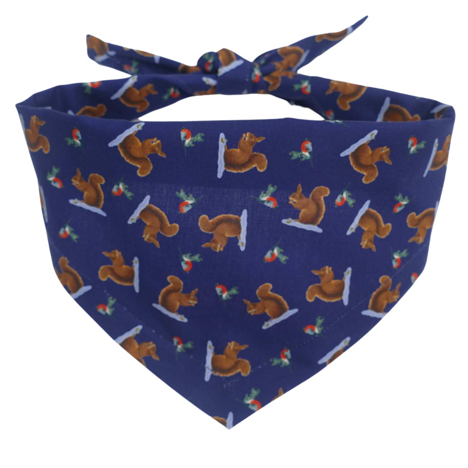 Winter Squirrel Dog Bandana