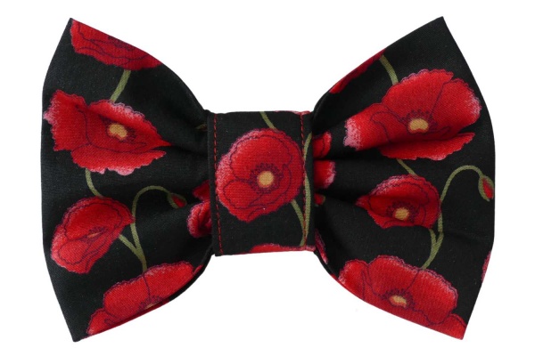 Red Flower Bow Tie Dog Collar And Leash